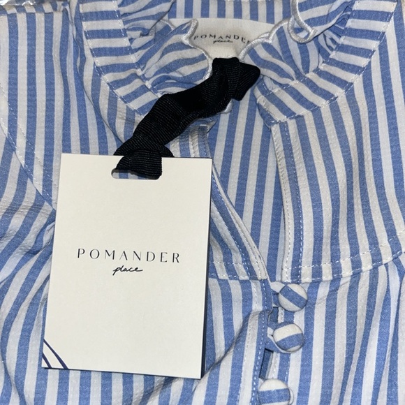 Blue Stripe Selena Blouse
POMANDER PLACE - Picture 7 of 11